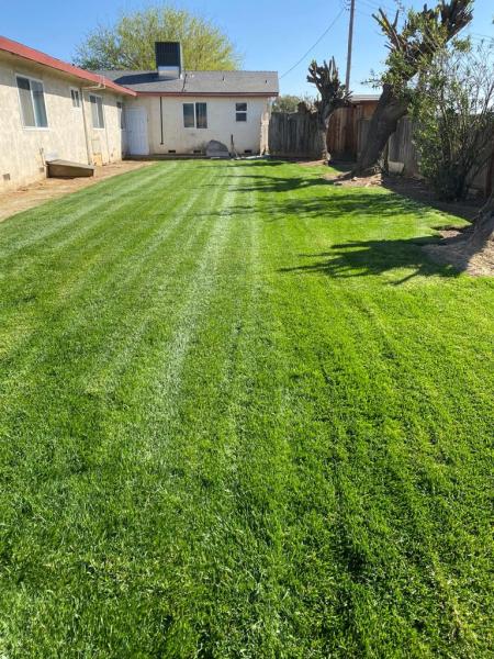 Manny's Lawn Care Services