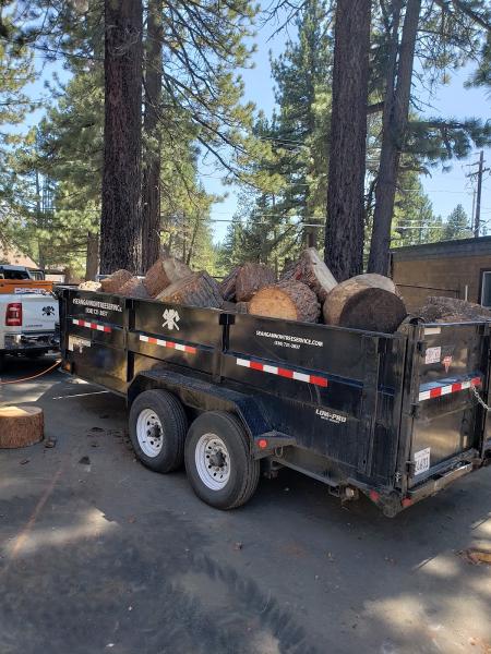 Sean Gannon Tree Service