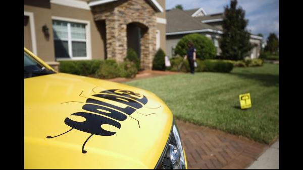 Holder Pest & Termite Control