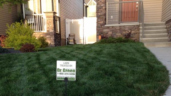 Doctor Green Lawn Care Services
