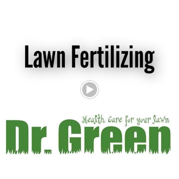 Doctor Green Lawn Care Services