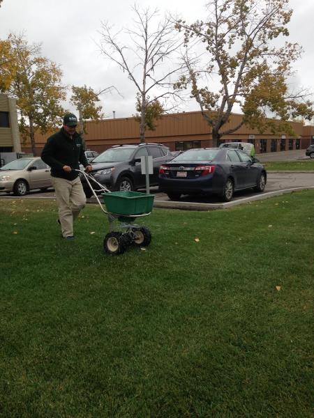 Doctor Green Lawn Care Services