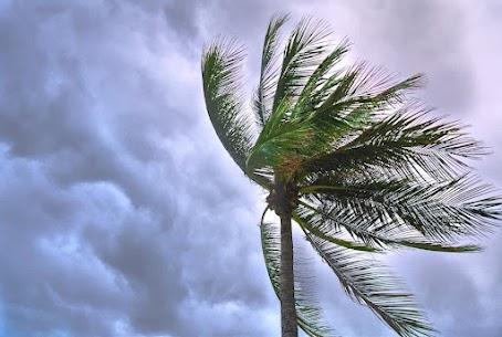 Unlimited Restoration Specialist Inc