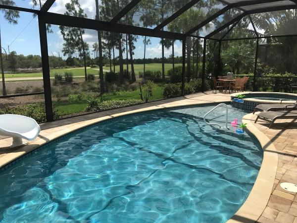 Pink Flamingo Pool Inspection