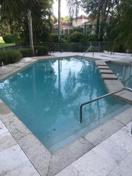 Pink Flamingo Pool Inspection