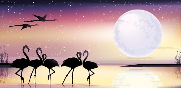 Pink Flamingo Pool Inspection