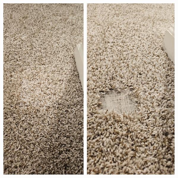 1st Step Carpet Care