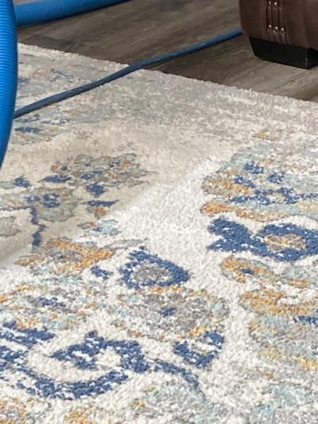 1st Step Carpet Care