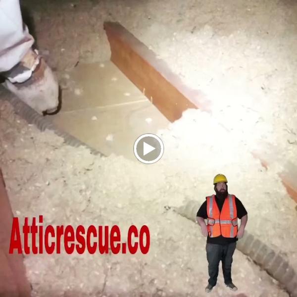Attic Rescue Decontamination & Insulation