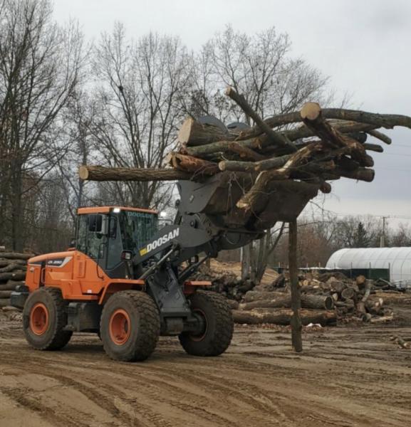 J C & Sons Tree Service