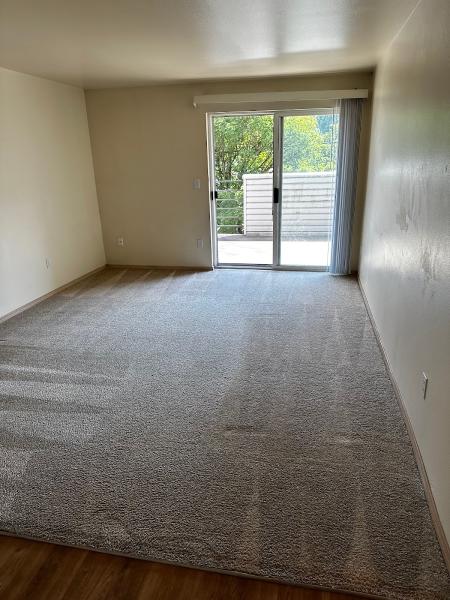 Angel's Carpet Care