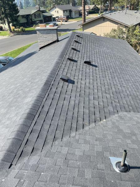 Dynasty Roofing