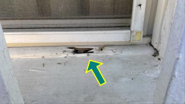 National Property Inspections Anaheim