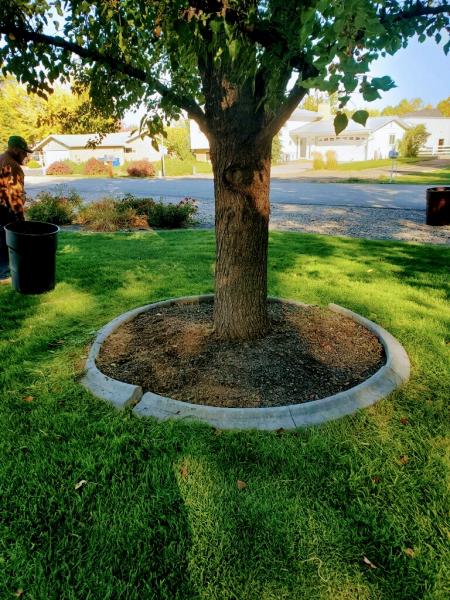 Emerald Landscape and Designs