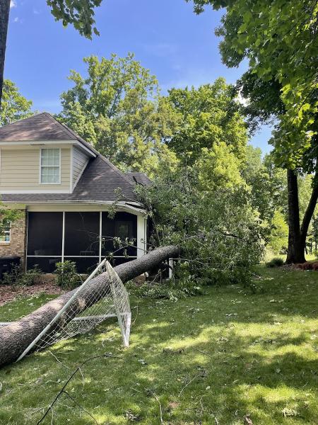 Trees & More LLC