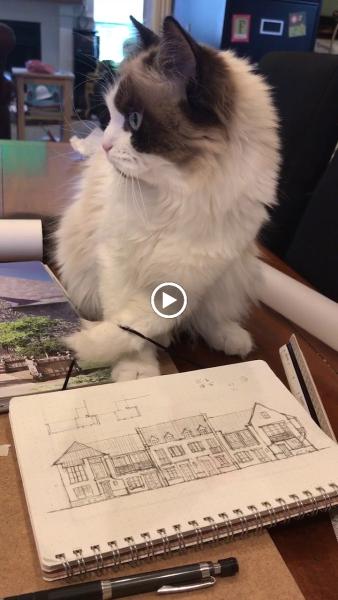 Azalea Design Studio