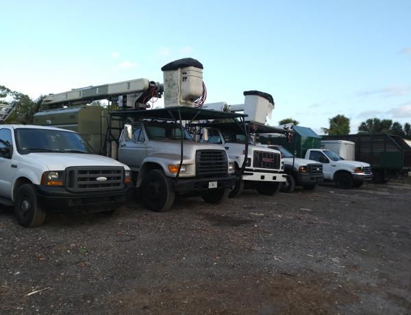 Vasquez Tree and Landscaping