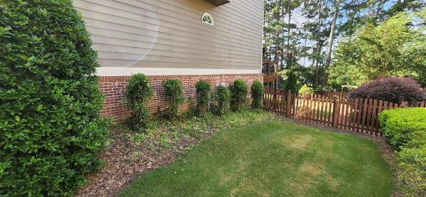 Lionstar Lawncare