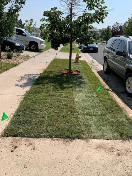 J.S. Sprinklers & Aeration