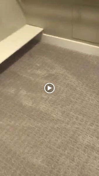Big Bear Flooring