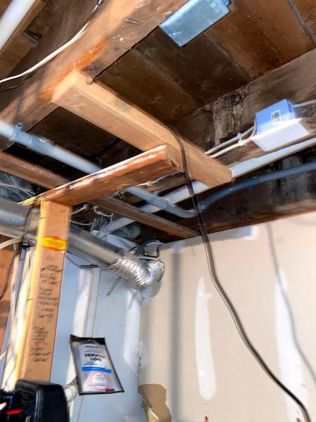 Apex Mold Specialists