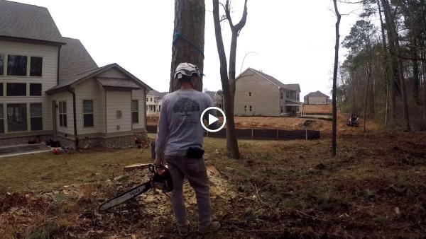 Complete Horticulture & Tree Service LLC