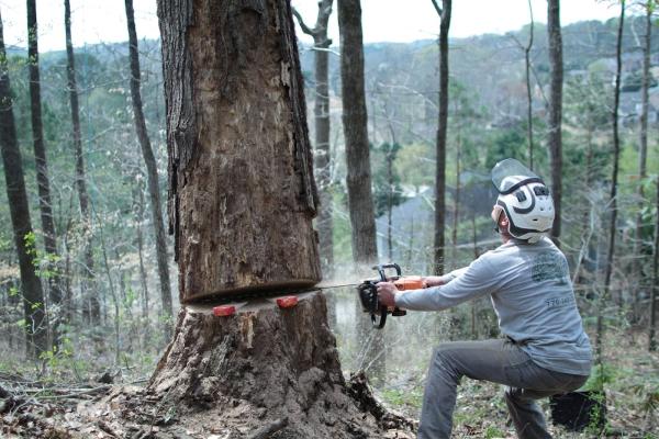 Complete Horticulture & Tree Service LLC