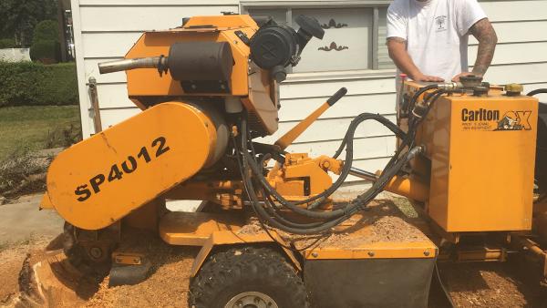Chavez Tree Service