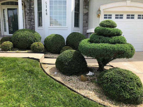 Maple Hill Lawn and Garden
