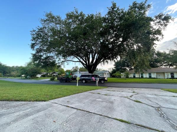 Monkey Business Tree Care Specialists