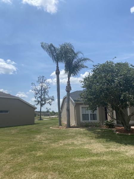 Monkey Business Tree Care Specialists