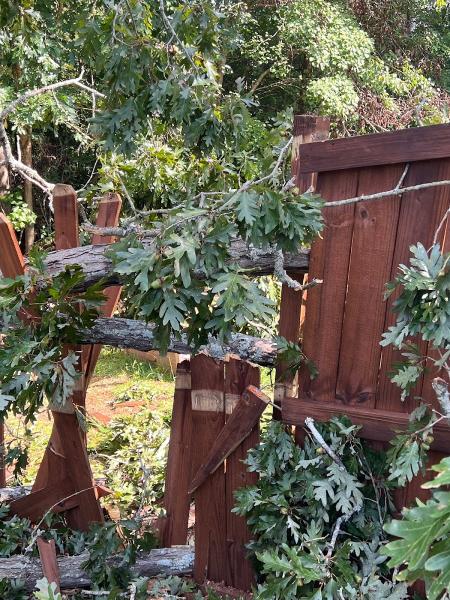 Landrum Tree Service