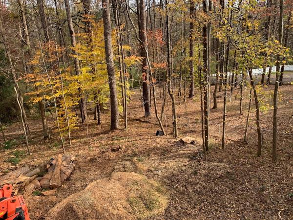 Landrum Tree Service