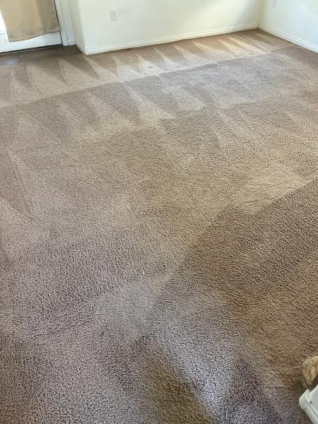 Men Clean Too Cleaning Services