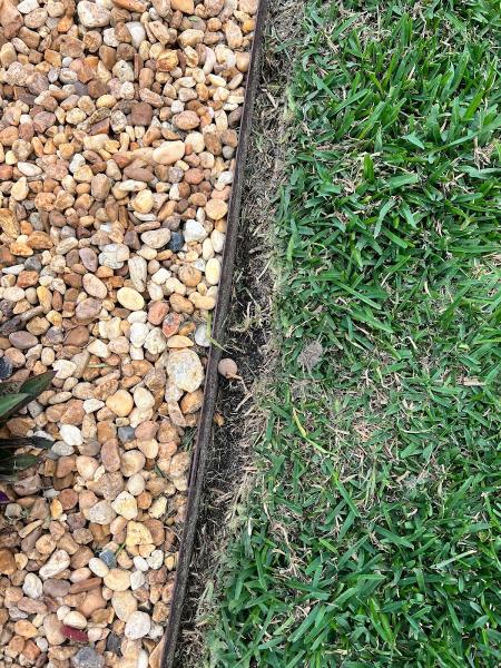 Fertigator Lawn Care