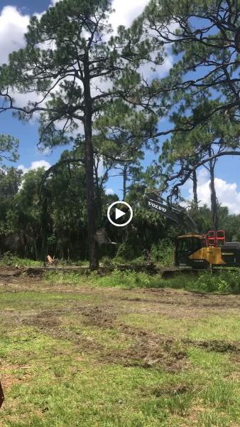 Protek Land Clearing
