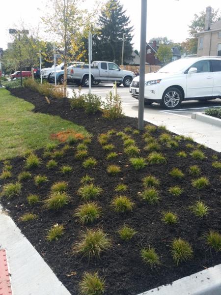 Tatum Landscaping