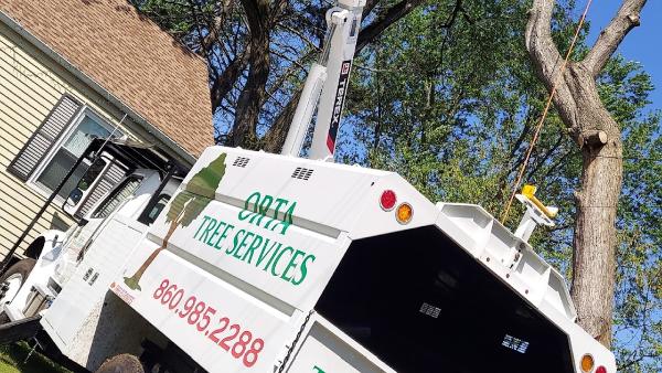 Orta Landscaping Llc