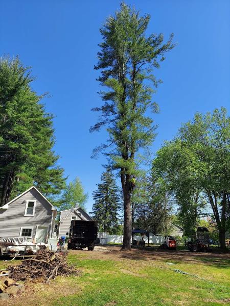 Orta Landscaping Llc