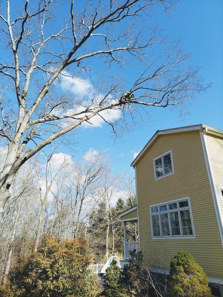Orta Landscaping Llc