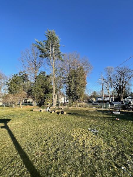 Orta Landscaping Llc