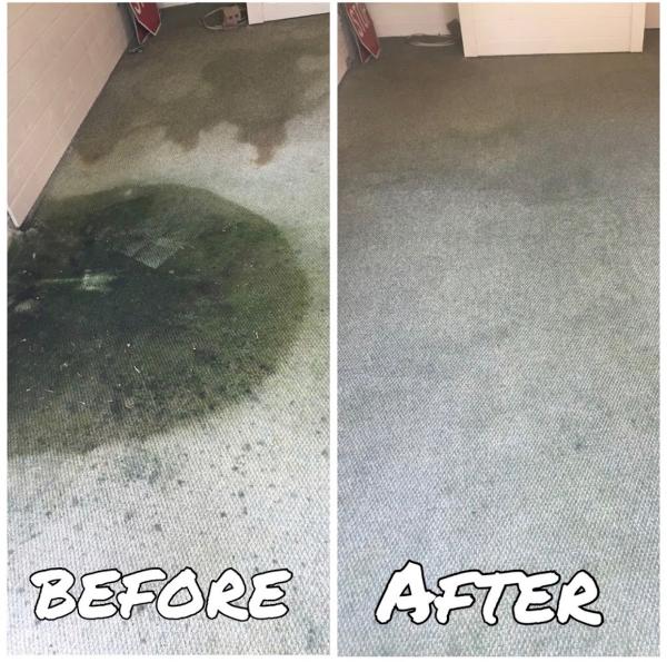 Affordable Carpet Cleaning