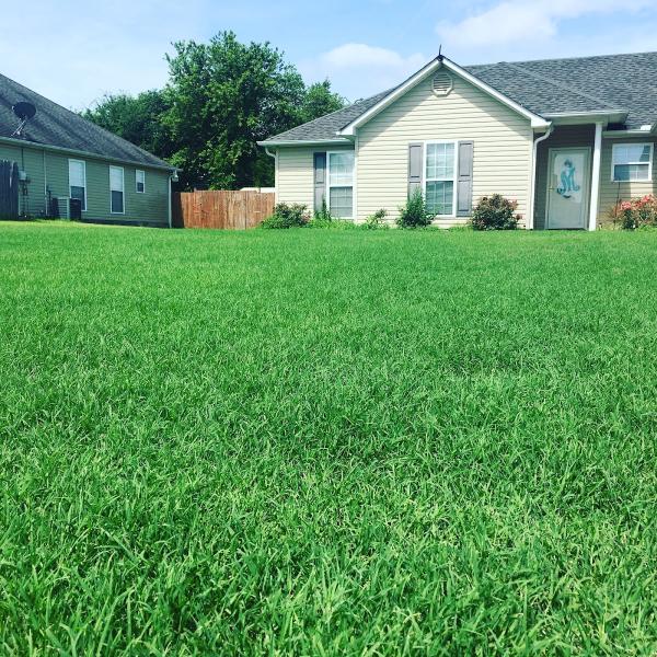 Clean-n-Green