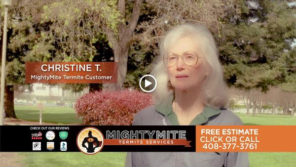 Mightymite Termite Services