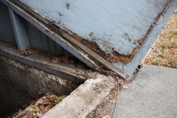 Mightymite Termite Services