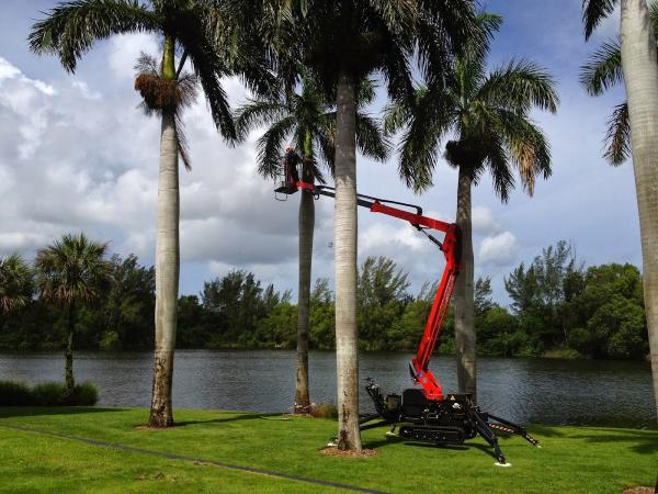 Signature Tree Care