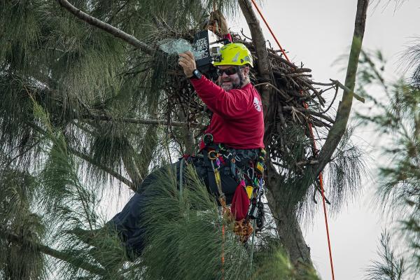 Signature Tree Care