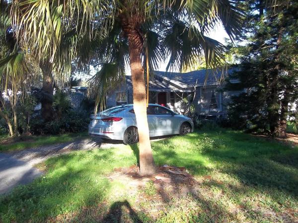Peninsula Tree Service