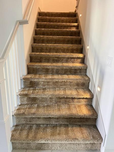 Soap & Steam Carpet Cleaning
