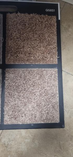 Canyon Floor